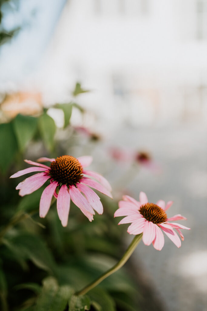 Hochzeit im Standesamt Aying